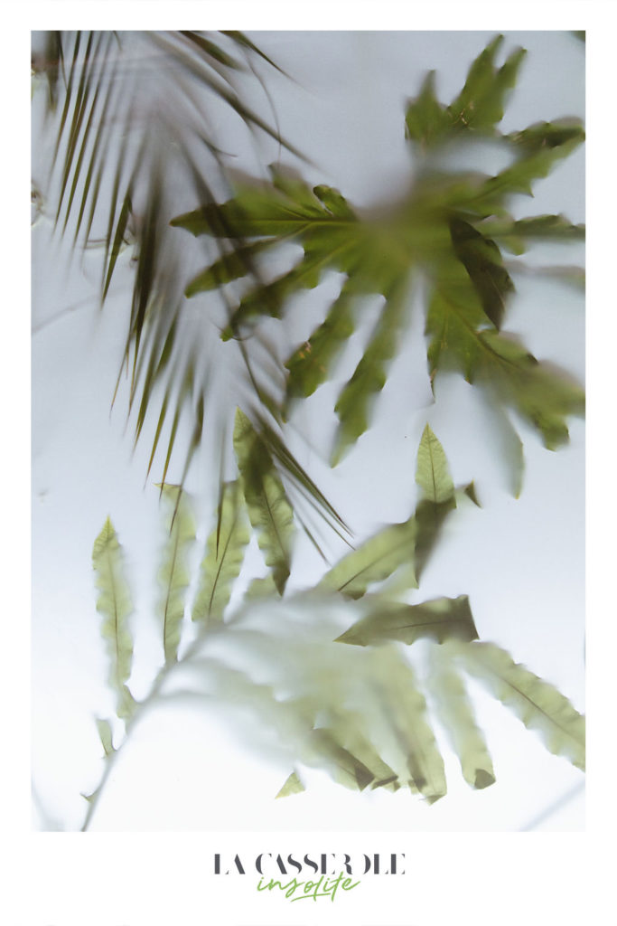 Décors de feuilles derrière un voile transparent pour le sas d'un diner insolite