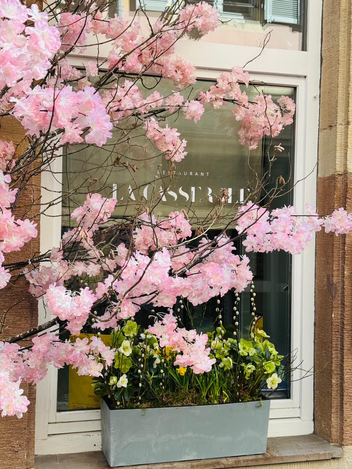 PHOTO-2026-03-05-13-06-54